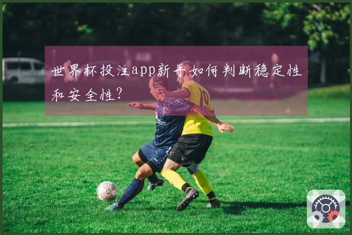 世界杯投注app新手如何判断稳定性和安全性?